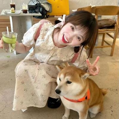 鹿角